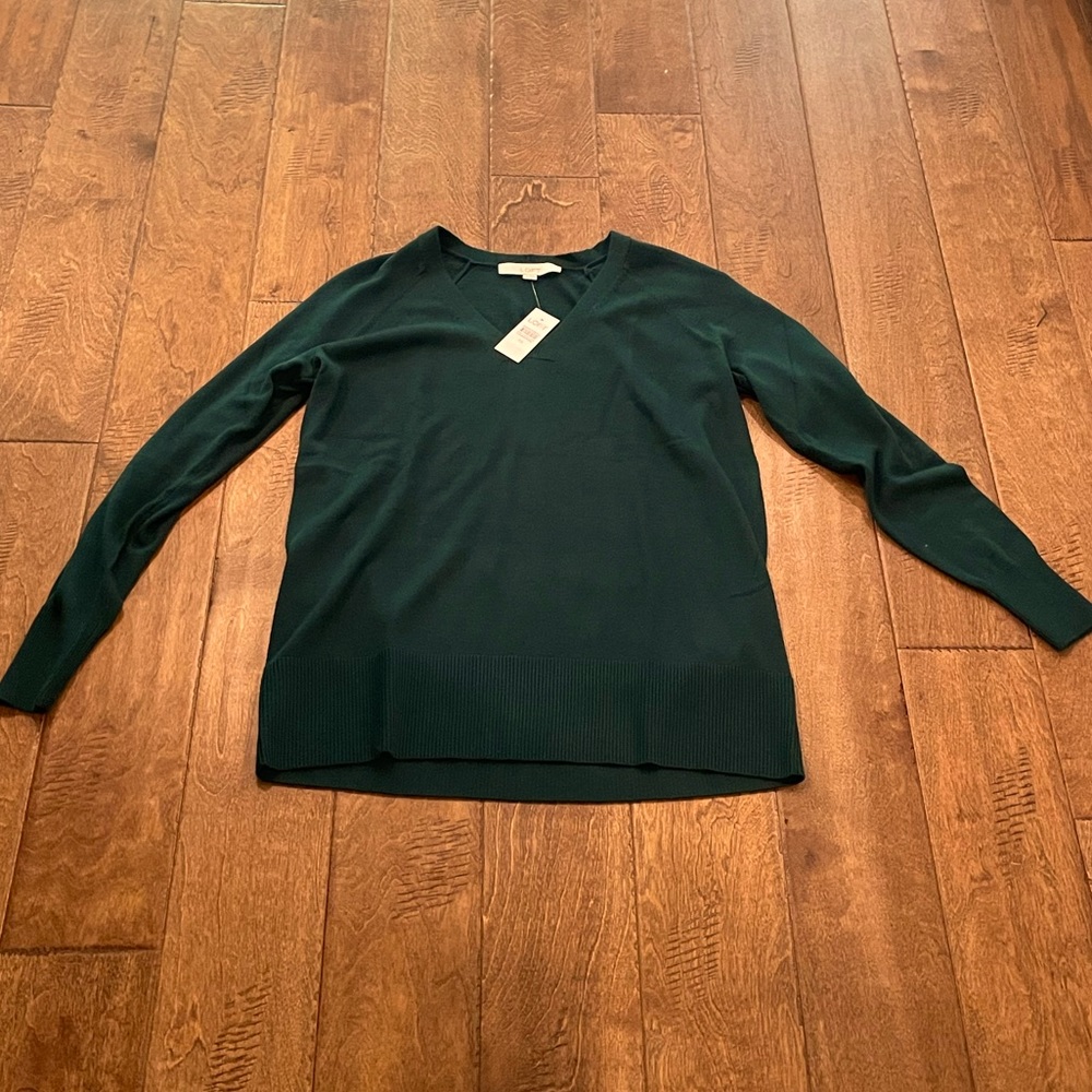 Loft boyfriend sweater in forest green